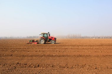 LUANNAN COUNTY, Çin - 9 Mart 2022: Çiftçiler tarlalarda bezelye yetiştirmek için ekicileri sürüyorlar, Kuzey Çene