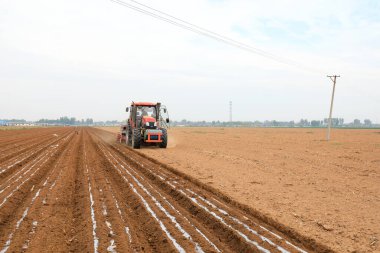 LUANNAN COUNTY, Çin - 26 Nisan 2021: Çiftçiler çiftliklerde plastik kaplı fıstık yetiştirmek için ekicileri kullanır.
