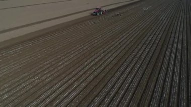 Çiftçiler, Kuzey Çin 'deki çiftliklere plastik kaplı fıstık ekmek için ekicileri kullanır.