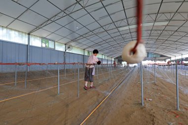 LUANNAN COUNTY, Çin - 19 Temmuz 2021: işçiler Çin 'deki bir balıkçı ağı işleme tesisinde yengeç ağlarını elle işliyorlar