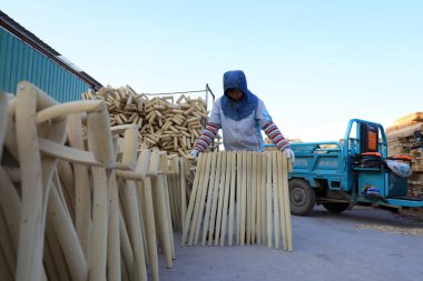 LUANNAN COUNTY, Çin - 25 Kasım 2021: işçiler Kuzey Çin 'deki bir fabrikada işlenmiş ahşap maça saplarını düzenliyor