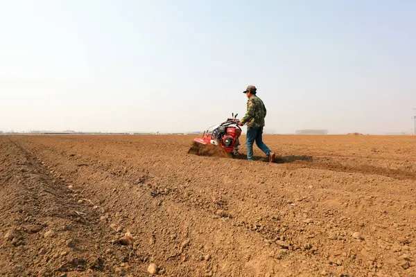 LUANNAN COUNTY, Hebei Eyaleti, Çin - 1 Nisan 2021: çiftçiler taro yetiştirirken tarım makineleri kullanıyorlar