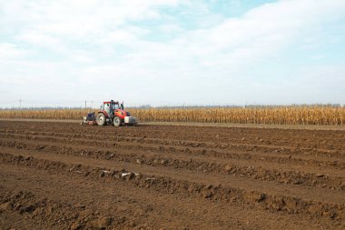 LUANNAN COUNTY, Çin - 13 Ekim 2021: çiftçiler tarlalara buğday ekiyor, Kuzey Çin