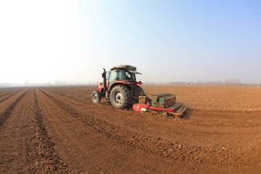 LUANNAN COUNTY, Çin - 9 Mart 2022: Çiftçiler tarlalarda bezelye yetiştirmek için ekicileri sürüyorlar, Kuzey Çene