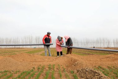 LUANNAN, Çin - 18 Mart 2022: İşçiler su tasarrufu boru hatları döşüyorlar ve yüksek standartlı tarım arazisi inşaat projeleri uyguluyorlar, Kuzey Çin