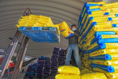 LUANNAN COUNTY, Çin - 10 Şubat 2022: İşçiler Kuzey Çin 'deki fabrikada bileşik gübre işletiyorlar