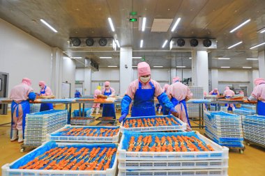 LUANNAN COUNTY, Çin - 6 Eylül 2021: İşçiler Çin 'deki bir atölyede ızgara gıdaları işliyorlar