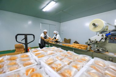 LUANNAN COUNTY, Çin - 8 Eylül 2021: işçiler Çin 'in geleneksel Sonbahar Festivali arifesinde ay pastası üretim hattı üzerinde sıkı çalışıyorlar.