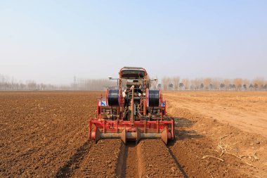 LUANNAN COUNTY, Çin - 9 Mart 2022: Çiftçiler tarlaları düzenlemek ve Kuzey Çin 'deki tarlada Çin lahanası ekmeye hazırlanmak için tarım makineleri sürüyorlar