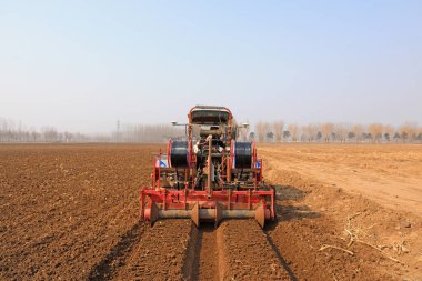 LUANNAN COUNTY, China - March 9, 2022: Farmers drive agricultural machinery to tidy up the land and prepare to plant Chinese cabbage in the field, North China clipart