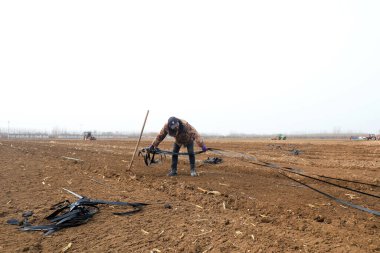 LUANNAN COUNTY, Çin - 16 Mart 2022: Çiftçiler Kuzey Çin 'deki tarım arazilerindeki su tasarruflu damlama borularını düzenliyorlar