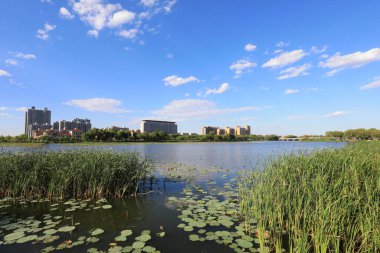 Liman şehri manzarası, Kuzey Çin