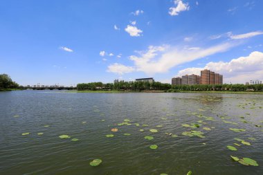 Waterfront City Mimarlık, Kuzey Çin