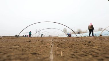 LUANNAN COUNTY, Çin - 12 Nisan 2021: çiftçiler çiftliklerde pirinç tohumu seraları inşa ediyorlar.