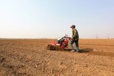 LUANNAN COUNTY, Hebei Eyaleti, Çin - 1 Nisan 2021: çiftçiler taro yetiştirirken tarım makineleri kullanıyorlar