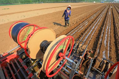 LUANNAN COUNTY, Çin - 26 Nisan 2021: Çiftçiler çiftliklerde plastik kaplı fıstık yetiştirmek için ekicileri kullanır.