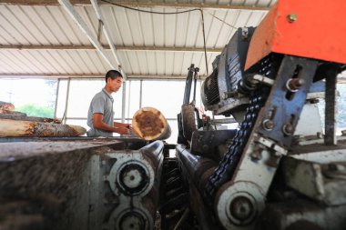 LUANNAN COUNTY, Çin - 9 Eylül 2021: Ahşap işleme fabrikası işçileri Kuzey Çin 'de odun parçalarını işlediler.
