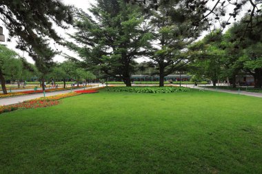 Parkta yeşil çimenler ve ağaçlar, Pekin
