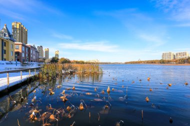 Kuzey Çin 'de bir parkta güzel bir kar manzarası