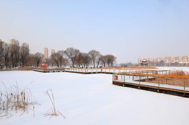 Waterfront City kar manzarası, Kuzey Çin