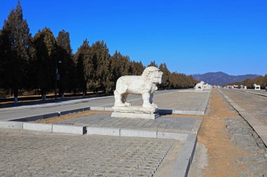Çin 'deki Qing Hanedanlığı' nın doğu mozolesinde taş oymalar yapıldı.
