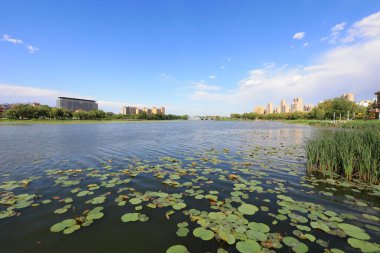 Waterfront City Mimarlık, Kuzey Çin