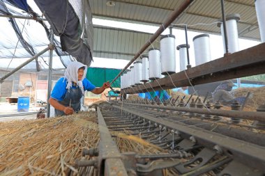 LUANNAN COUNTY, China - August 30, 2021:Farmers are using mechanical straw curtains on a farm, North China clipart