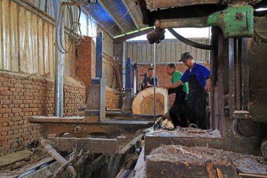 LUANNAN COUNTY, Çin - 9 Eylül 2021: Ahşap işleme fabrikası işçileri Kuzey Çin 'de ahşap tahtaları işliyorlar.