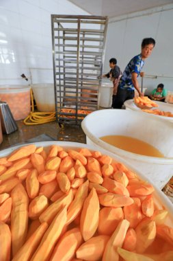LUANNAN COUNTY, Çin - 13 Eylül 2021: işçiler Kuzey Çin 'deki bir atölyede tatlı patatesleri yıkıyorlar