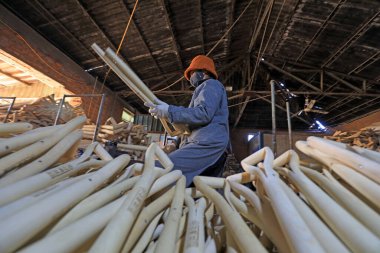 LUANNAN COUNTY, Çin - 25 Kasım 2021: İşçiler Kuzey Çin 'deki bir fabrikada ahşap maça işleme işlemleri