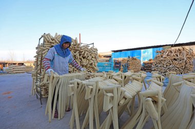 LUANNAN COUNTY, Çin - 25 Kasım 2021: işçiler Kuzey Çin 'deki bir fabrikada işlenmiş ahşap maça saplarını düzenliyor