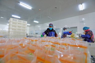LUANNAN COUNTY, Çin - 18 Şubat 2022: işçiler Kuzey Çin 'deki turşu üretim hattı üzerinde sıkı çalışıyorlar