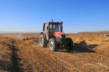 LUANNAN COUNTY, Çin - 1 Mart 2022: Çiftçiler tarlada saman toplamak için bir disk tırmığı kullanıyorlar, Kuzey Çin