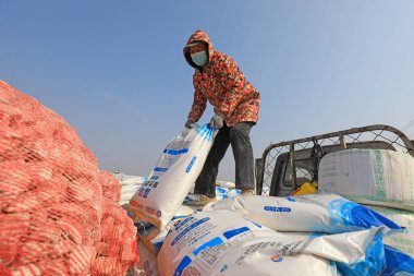 LUANNAN COUNTY, Çin - 9 Mart 2022: Çiftçiler üretim araçlarını sınıflandırıyor ve tarlada plastik film patatesi ekmeye hazırlanıyorlar, Kuzey Chin
