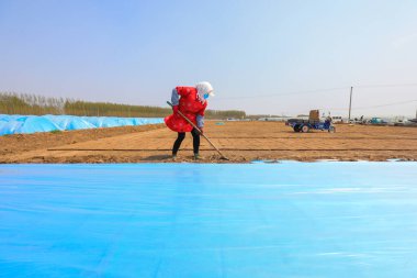 LUANNAN COUNTY, Çin - 14 Nisan 2022: Çiftçiler, sıcaklığı ve nemi korumak için pirinç filizleme tepsisini dokumasız kumaş ve plastik film ile kaplıyorlar.