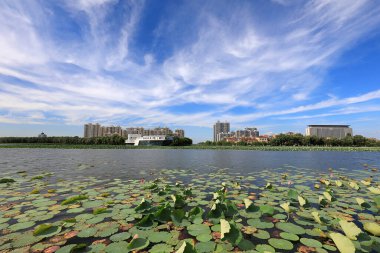 Mavi gökyüzü ve beyaz bulutlar altında güzel deniz manzarası, Kuzey Çin