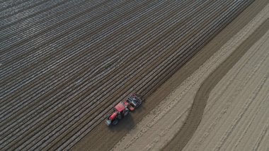 Farmers use planters to plant plastic coated peanuts on farms, North China clipart