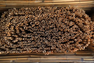 Reed perdesi kesiti, yakın plan fotoğraf.