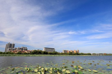 Mavi gökyüzü ve beyaz bulutlar altında güzel deniz manzarası, Kuzey Çin