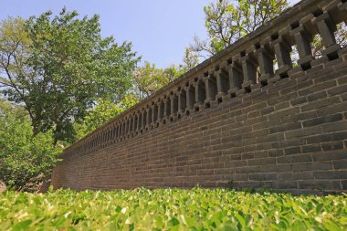 Kuzey Çin 'deki bir parkta yeşil bitkiler ve gri duvarlar.