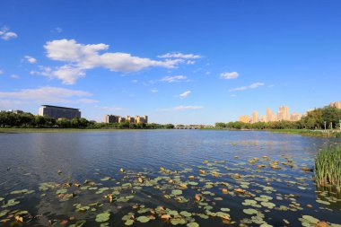 Liman şehri manzarası, Kuzey Çin