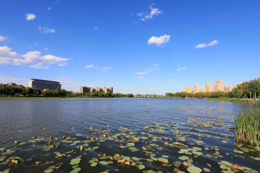 Liman şehri manzarası, Kuzey Çin