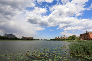Waterfront City Mimarlık, Kuzey Çin
