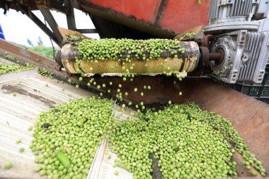 Kuzey Çin 'deki çiftlikte tarım makineleri harap etme operasyonu