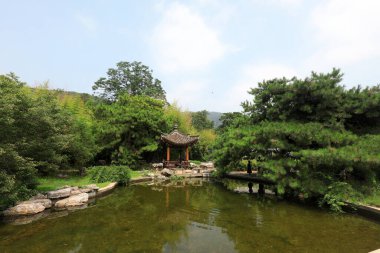 Pekin Botanik Bahçesinin göl manzarası