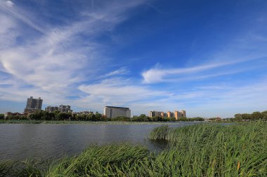 Mavi gökyüzü ve beyaz bulutlar altında güzel deniz manzarası, Kuzey Çin
