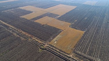 Pirinç tarlaları, sonbahar manzarası hava fotoğrafları, Kuzey Çin