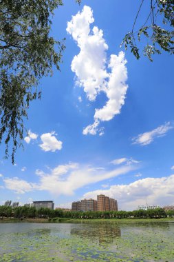 Waterfront City Mimarlık, Kuzey Çin