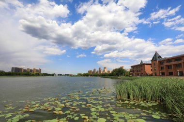 Waterfront City Mimarlık, Kuzey Çin