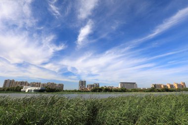 Mavi gökyüzü ve beyaz bulutlar altında güzel deniz manzarası, Kuzey Çin